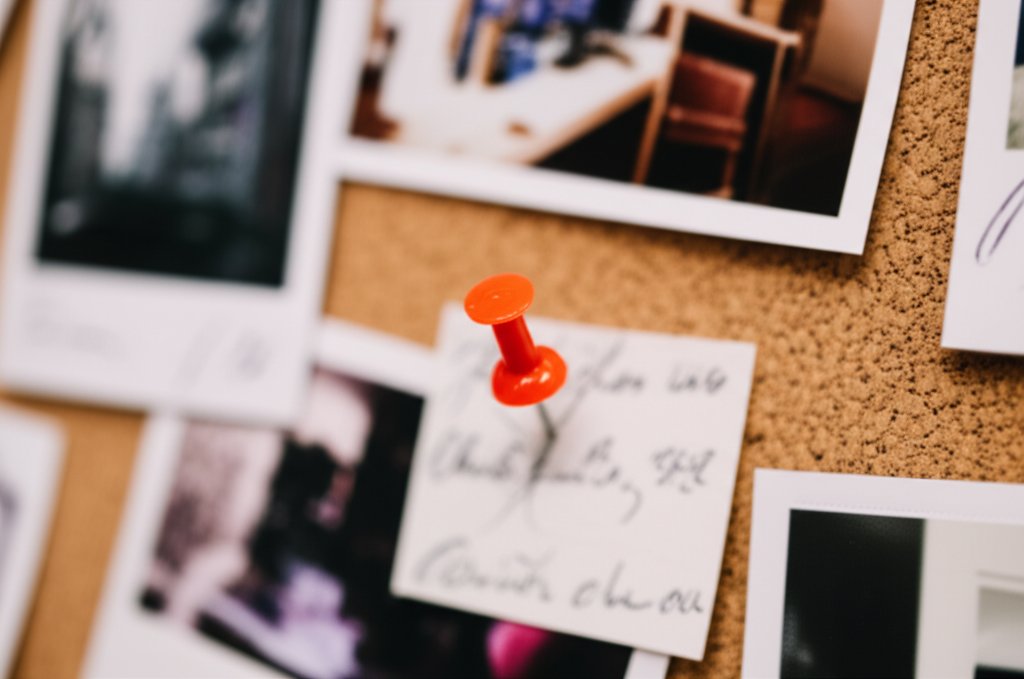 Pushpin on evidence board